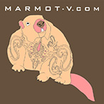 MARMOT-V.com